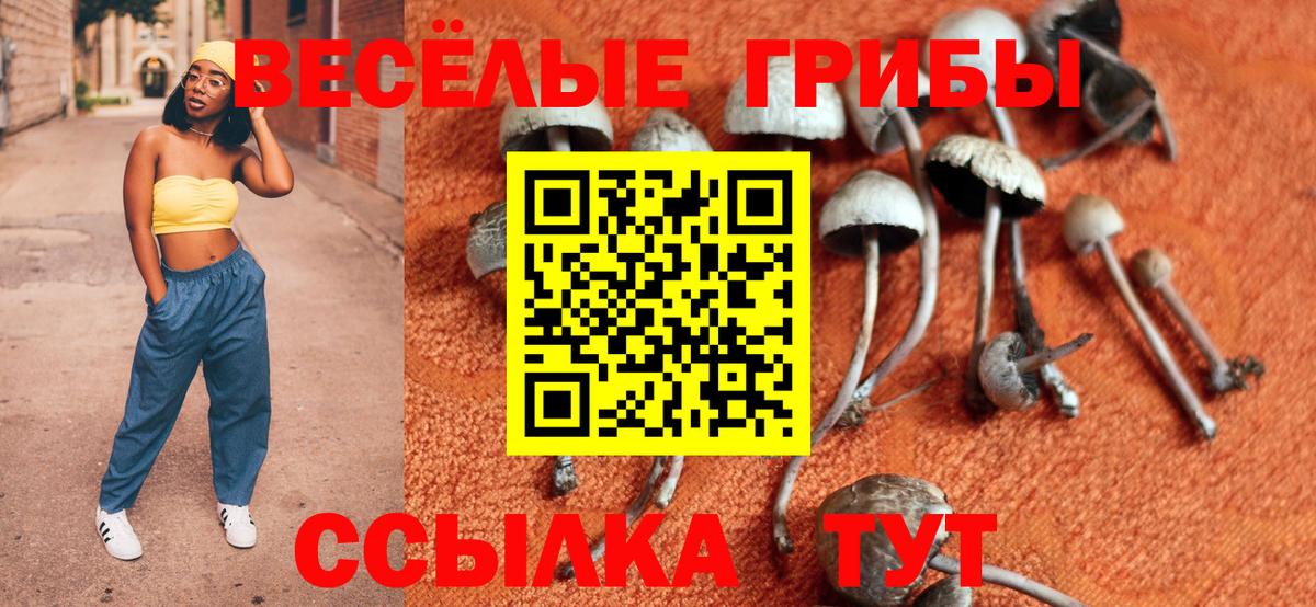 Галлюциногенные грибы Magic Shrooms  Вход с VPN  Киржач 